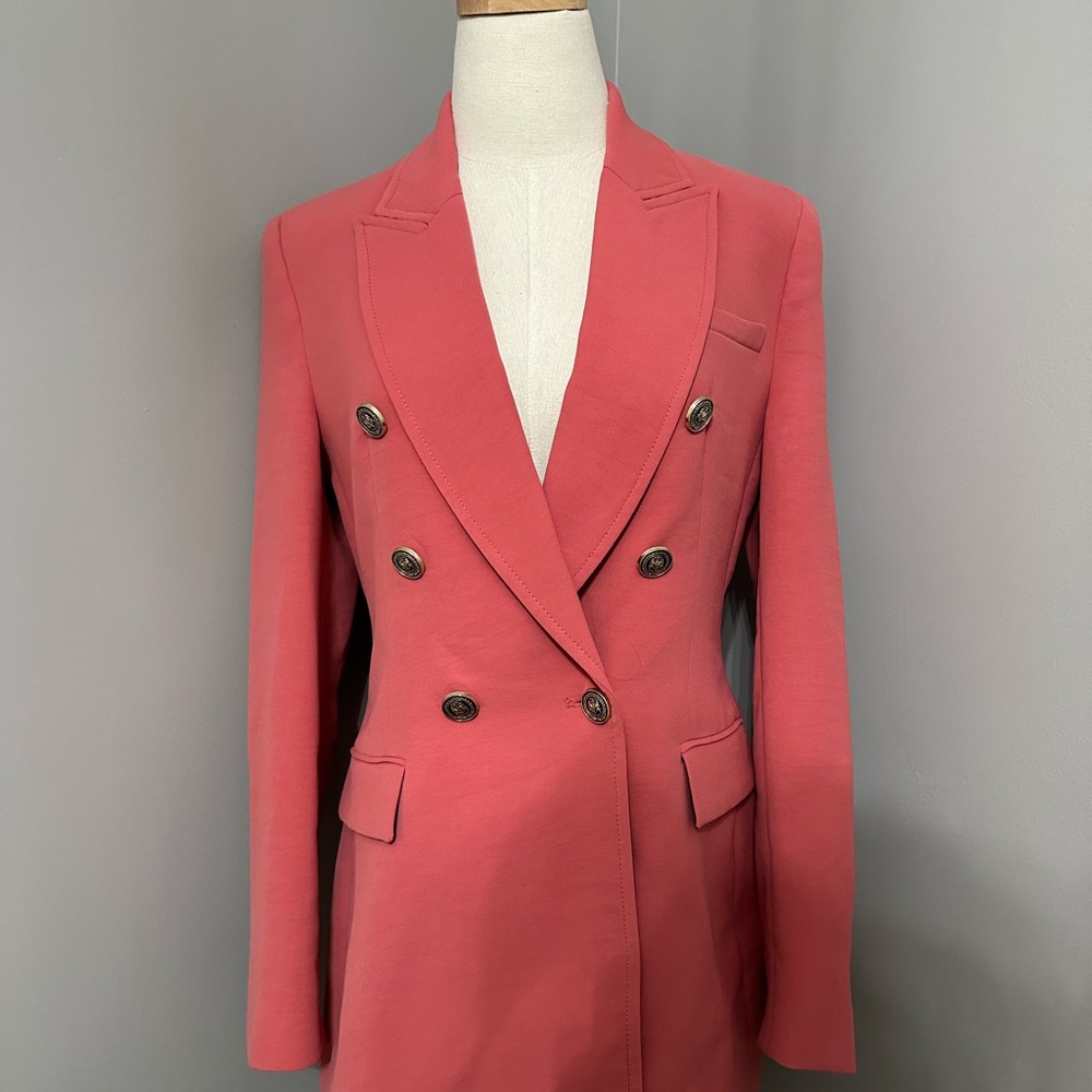 Zara Chic Double-Breasted Pink Blazer and Pants